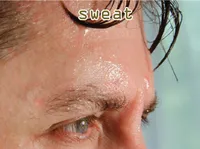 Định nghĩa của từ <b>sweat</b>