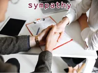 Định nghĩa của từ <b>sympathy</b>