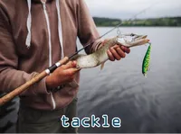 Định nghĩa của từ <b>tackle</b>