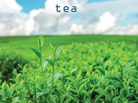 Định nghĩa của từ <b>tea</b>