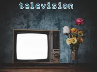 Định nghĩa của từ <b>television</b>