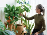 Định nghĩa của từ <b>tend</b>