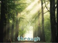 Định nghĩa của từ <b>through</b>
