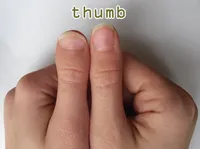 Định nghĩa của từ <b>thumb</b>