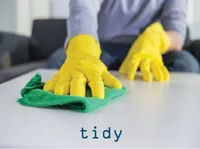 Định nghĩa của từ <b>tidy</b>