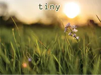 Định nghĩa của từ <b>tiny</b>