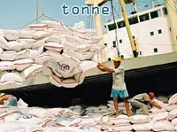 Định nghĩa của từ <b>tonne</b>