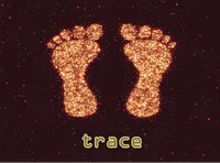 Định nghĩa của từ <b>trace</b>