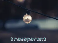 Định nghĩa của từ <b>transparent</b>