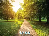 Định nghĩa của từ <b>tree</b>