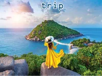 Định nghĩa của từ <b>trip</b>