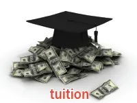 Định nghĩa của từ <b>tuition</b>
