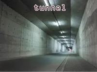 Định nghĩa của từ <b>tunnel</b>