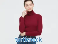 Định nghĩa của từ <b>turtleneck</b>