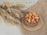 Định nghĩa của từ <b>underneath</b>