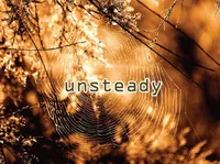 Định nghĩa của từ <b>unsteady</b>