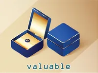 Định nghĩa của từ <b>valuable</b>