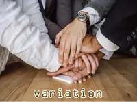 Định nghĩa của từ <b>variation</b>
