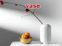 Định nghĩa của từ <b>vase</b>