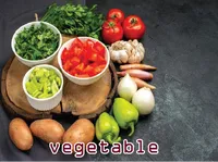 Định nghĩa của từ <b>vegetable</b>