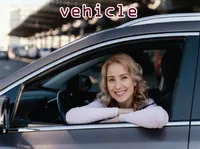 Định nghĩa của từ <b>vehicle</b>