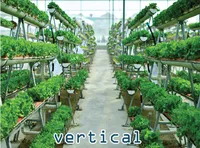 Định nghĩa của từ <b>vertical</b>