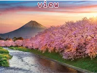 Định nghĩa của từ <b>view</b>