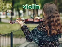 Định nghĩa của từ <b>violin</b>