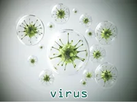 Định nghĩa của từ <b>virus</b>