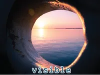 Định nghĩa của từ <b>visible</b>