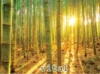 Định nghĩa của từ <b>vital</b>