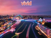 Định nghĩa của từ <b>vivid</b>