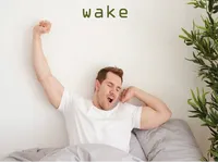 Định nghĩa của từ <b>wake</b>