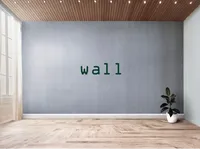 Định nghĩa của từ <b>wall</b>