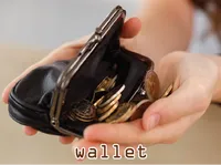 Định nghĩa của từ <b>wallet</b>
