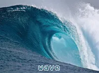 Định nghĩa của từ <b>wave</b>