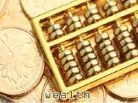 Định nghĩa của từ <b>wealth</b>