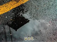 Định nghĩa của từ <b>wet</b>