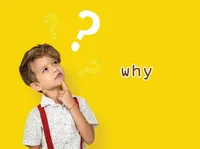 Định nghĩa của từ <b>why</b>