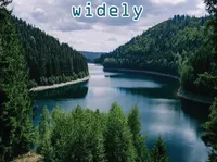 Định nghĩa của từ <b>widely</b>