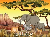 Định nghĩa của từ <b>wildly</b>