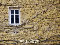 Định nghĩa của từ <b>window</b>