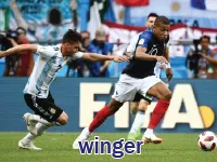 Định nghĩa của từ <b>winger</b>