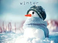 Định nghĩa của từ <b>winter</b>