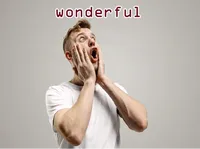 Định nghĩa của từ <b>wonderful</b>