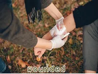 Định nghĩa của từ <b>wounded</b>