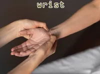 Định nghĩa của từ <b>wrist</b>
