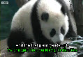 World news - January - 6th- 2014