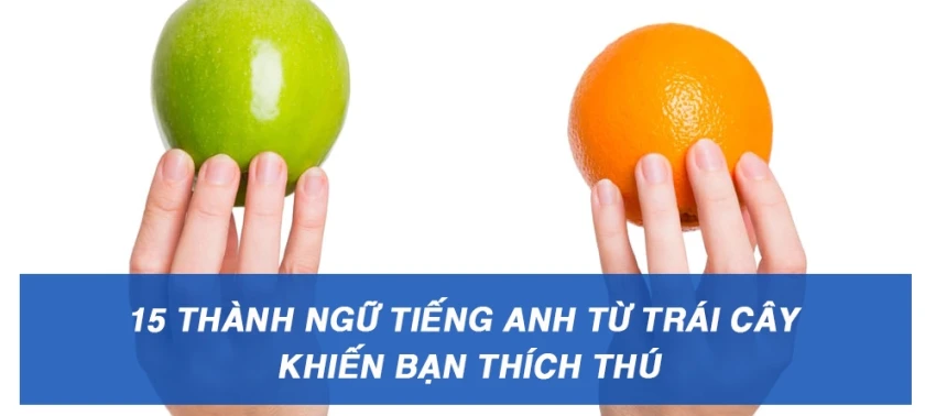 15 Thành ngữ tiếng Anh từ trái cây sẽ khiến bạn thích thú